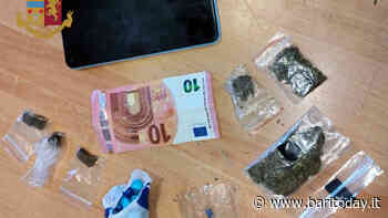 Cocaina e hashish nel frigorifero, a scovarli il cane Zlatan: 23enne arrestato a Bari vecchia - BariToday