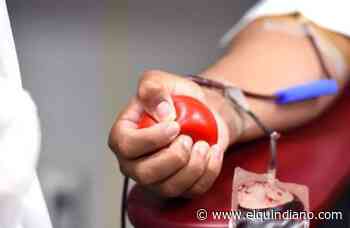 Alerta por poca donación de sangre en el hospital de Armenia, en momentos críticos - El Quindiano S.A.S.