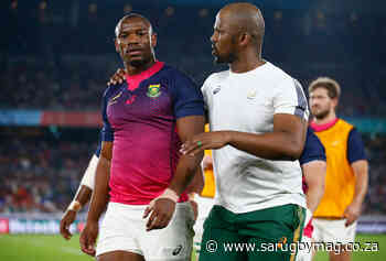 The coaching lieutenants who will be key for Boks, B&I Lions - SARugbymag