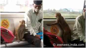Monkey rides the Delhi metro leaving commuters stunned, video goes viral