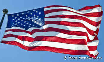 Singer Macy Gray argues US needs a 'new flag' to replace 'tattered, dated, divisive' Old Glory