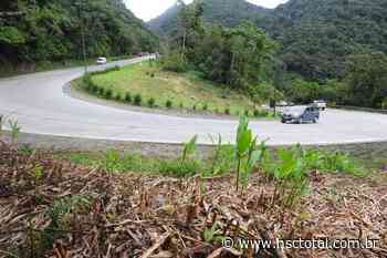 Estado contrata projeto para revitalizar estrada da serra Dona Francisca, em Joinville - NSC Total