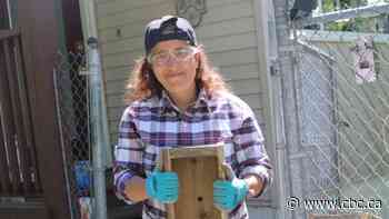 Syrian woman builds better life through unlikely friendship with Saint John retiree and his wife