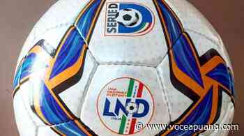 Serie D, Aglianese beffata, ok il Prato, out il Siena - La Voce Apuana