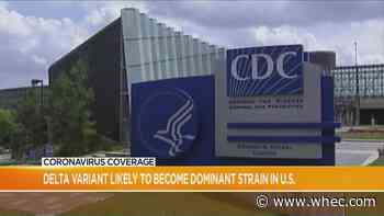 CDC: Delta variant will likely become the dominant strain in US