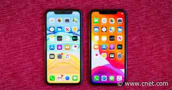 iPhone 11 vs. iPhone XR: Which is the best iPhone?     - CNET