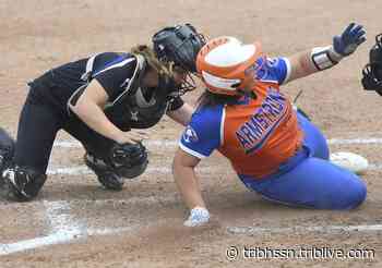 Armstrong softball comes up short in PIAA Class 5A championship | Trib HSSN - TribLIVE