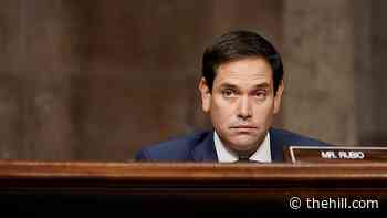 Rubio calls on Biden to allow Naval Academy graduate to play in NFL