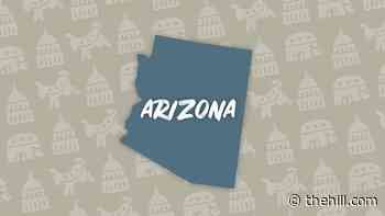 Arizona reporting spike in coronavirus cases | TheHill - The Hill