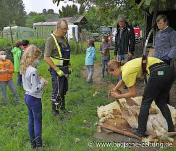 Weide statt Klassenzimmer - Kenzingen - Badische Zeitung