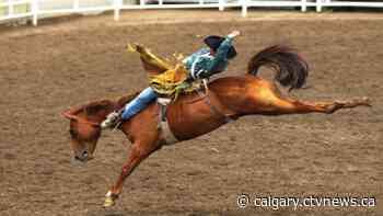 Rodeo athletes competing at Calgary Stampede will require proof of vaccine - CTV Toronto