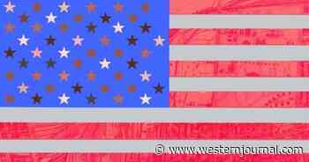 Singer Calls US a 'Broken' Nation, Demands Racial Redesign of Flag