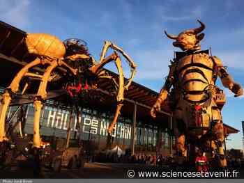 À Toulouse, voyage au monde des machines - Sciences et Avenir