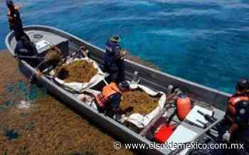 Embarcación sargacera de la Semar se hunde en Playa del Carmen - El Sol de México