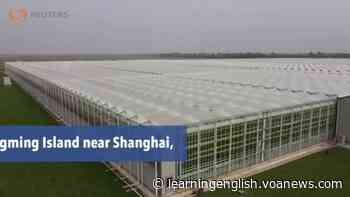 Coronavirus Crisis Creates Changes in China's Food Supply Chain - VOA Learning English