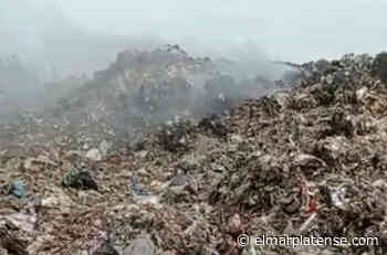 Denuncian residuos peligrosos en un basural a cielo abierto en Necochea - El Marplatense
