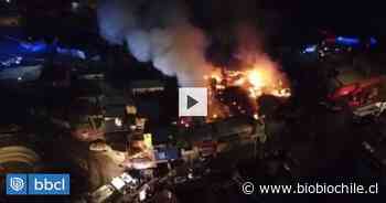Gigantesco incendio consumió 9 casas de material ligero en campamento de Antofagasta - BioBioChile