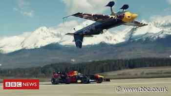 ICYMI: Birds, planes and automobiles