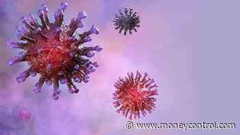 Coronavirus News Live Updates: Maharashtra reports 9,361 new COVID-19 cases, 616 deaths - Moneycontrol.com