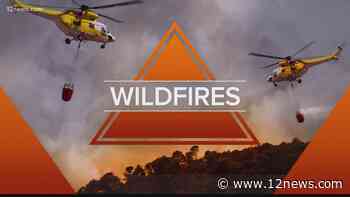 Horton Complex Fire tops 1,400 acres, 0% contained in the Apache-Sitgreaves National Forest - 12news.com KPNX