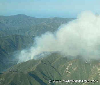 Willow Fire in Los Padres National Forest grows to 2,000 acres - Monterey Herald