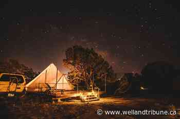 Camp on a horse farm, vineyard or private forest this summer — here's how - WellandTribune.ca