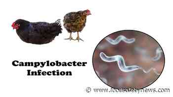 WGS project on Campylobacter gives insights in Denmark - Food Safety News