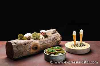 Food review: A masterclass of playful dishes - expressandstar.com