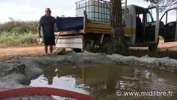 Frontignan : tournée générale d'eau pour la Fédération de chasse sur la Gardiole - Midi Libre