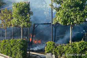 Tuinhuis met buitenkeuken gaat volledig in vlammen op - Het Belang van Limburg