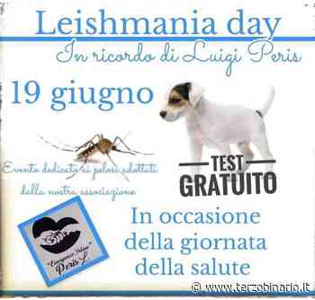 Leishmania Day dedicato a Luigi Paris di Emergenze Pelose Civitavecchia - TerzoBinario.it