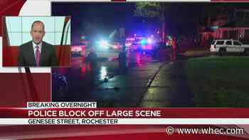 Person fatally stabbed on Rochester's southwest side