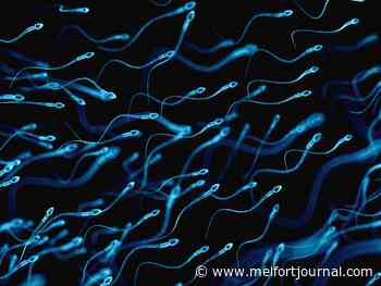 COVID mRNA vaccines do not impact sperm count: study - Melfort Journal