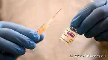 Authorities say doses of the Pfizer coronavirus vaccine are set to 'ramp up' from August - SBS News
