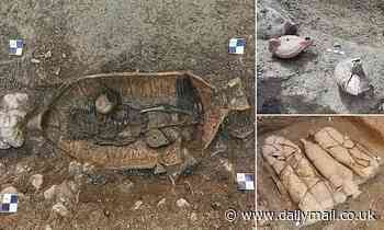 Archaeology: Ancient necropolis dating back to the 4th century found in garden of Croatian palace