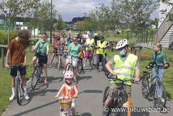 Kidical Mass om zone 30 af te dwingen: “Drukke Zuidlaan veiliger en rustiger maken”