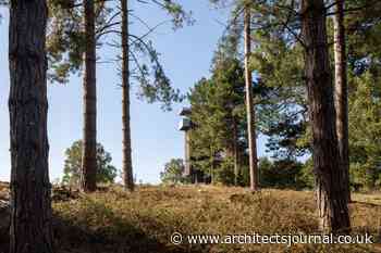 Sutton Hoo visitor experience, by Nissen Richards Studio - Architect's Journal