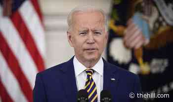 Biden briefed on plan to end migrant family expulsions by end of July: report