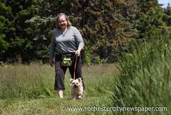 Ready for a post-COVID life? Your dog may be dreading it