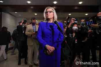 Liz Cheney hired security after death threats: report