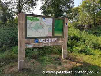 Peterborough ‘third best city for pedestrians’ - Peterborough Telegraph