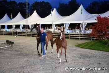 Ambitieuze jonge Antwerpenaar koopt hippisch complex De Kraal