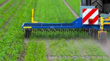 "Land und Wirtschaft - wer erntet?" - Ausstellung im Museum Brot und Kunst