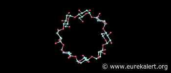 This molecule is made from sugar, shaped like a doughnut, and formed using light