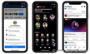 Facebook's Clubhouse copycat, Live Audio Rooms, rolls out to some 'US-based public figures'n
