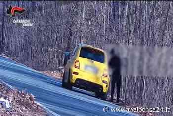 I boschi di Samarate imprese dello spaccio: ai pusher 1.800 euro al mese - malpensa24.it