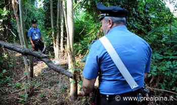 Samarate, sette arresti per droga - La Prealpina