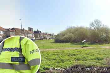 Man with 'Mickey Mouse' mask grabbed woman on Mitcham Common