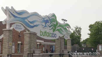 Buffalo Zoo now operating without capacity restrictions