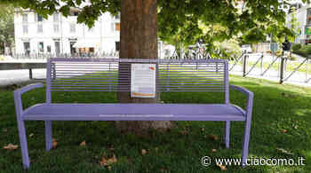 La Panchina Viola di San Fermo per Costruire Gentilezza - CiaoComo